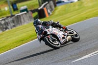 Oulton-Park-14th-March-2020;PJ-Motorsport-Photography-2020;anglesey;brands-hatch;cadwell-park;croft;donington-park;enduro-digital-images;event-digital-images;eventdigitalimages;mallory;no-limits;oulton-park;peter-wileman-photography;racing-digital-images;silverstone;snetterton;trackday-digital-images;trackday-photos;vmcc-banbury-run;welsh-2-day-enduro